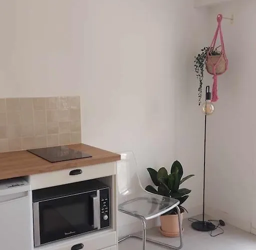 Appartement Hyper-centre Avec Parking